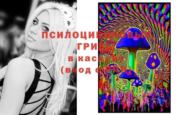 даркнет сайт  Джанкой  Псилоцибиновые грибы Magic Shrooms 